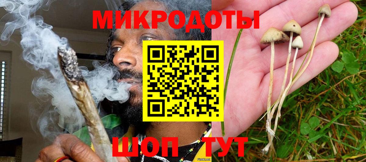 Галлюциногенные грибы мицелий  Псилоцибиновые грибы Psilocybe  наркошоп  Арзамас  Вход с VPN 
