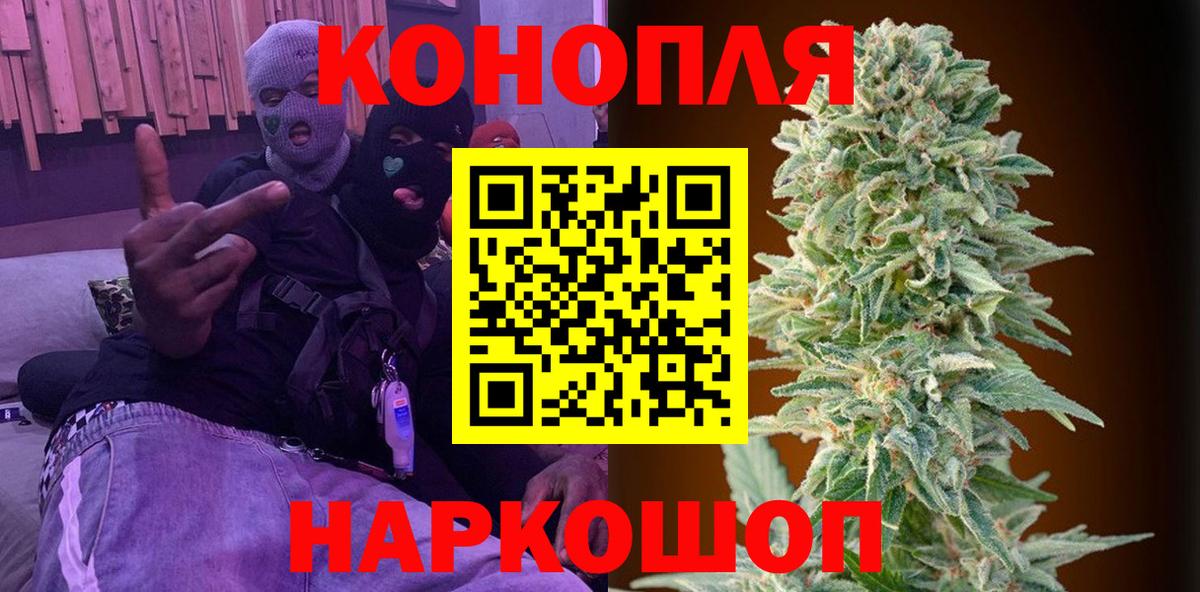 Бошки Шишки планчик Арзамас
